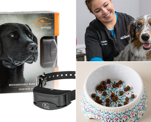 Pet's Accessories 🐕‍🦺🦮 cover photo collage