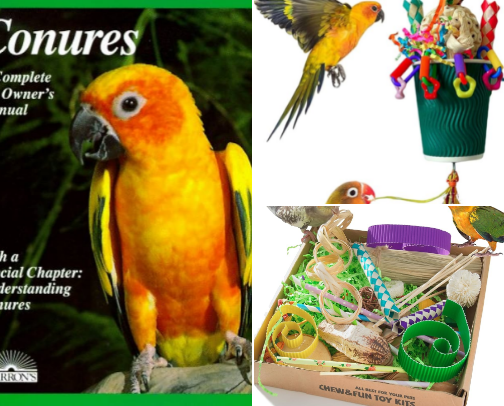 Conures 🦜 cover photo collage