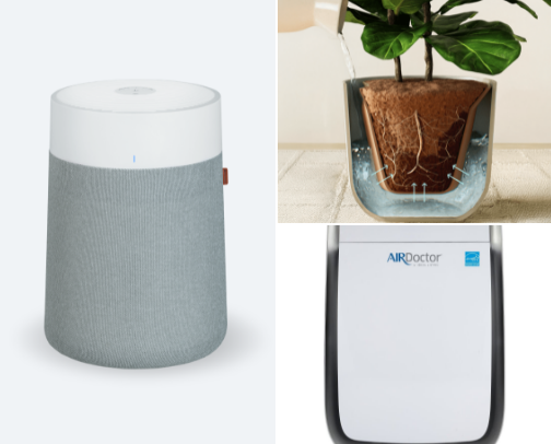 How to naturally improve your indoor air cover photo collage