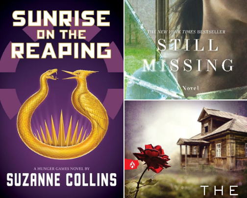 The Enlightened Shelf📚 cover photo collage