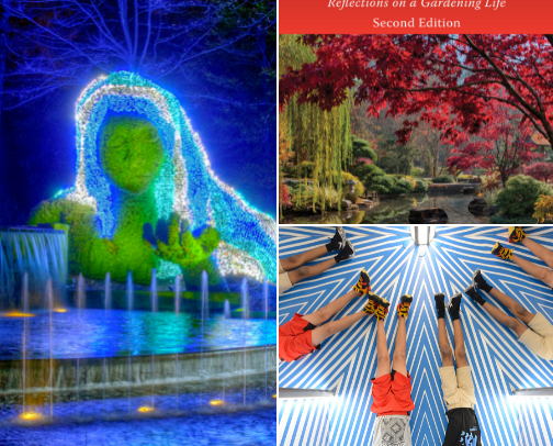 Things to do in A.T.L cover photo collage