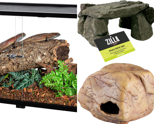 for the reptile owners cover photo collage