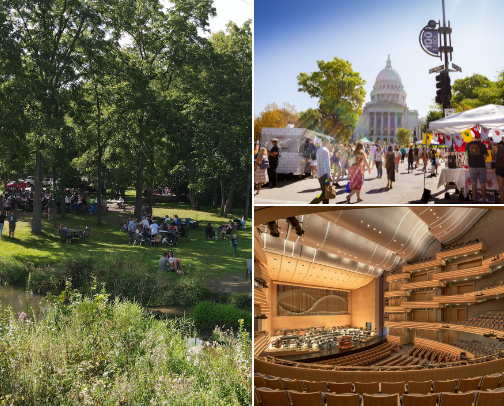 Like a local: Madison, Wi cover photo collage