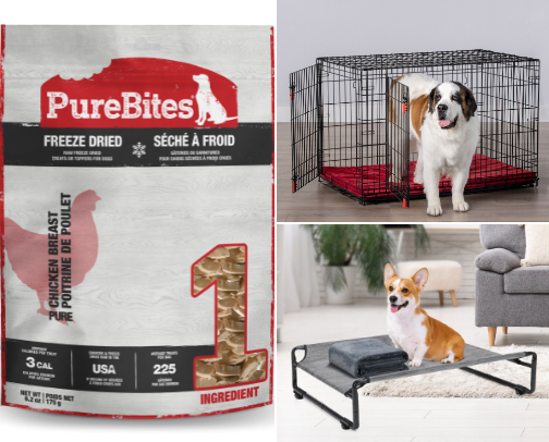 Puppy Training Must Haves cover photo collage