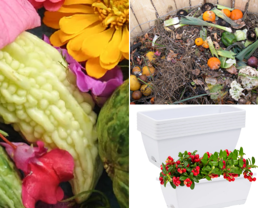 garden cover photo collage