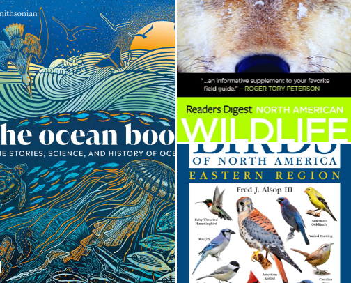 Detective stories, historical fiction and romance! cover photo collage