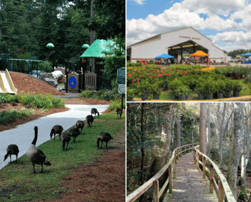 Things to do in Hartsville ,SC cover photo collage