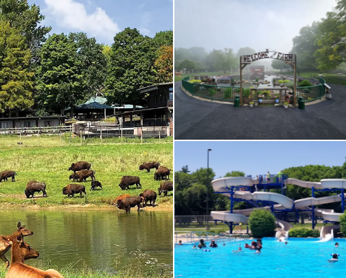 Central Illinois but for the Kids cover photo collage