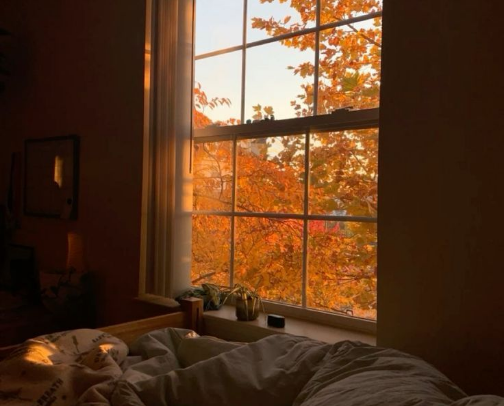Quintessential Cozy Girl Vibes cover photo collage