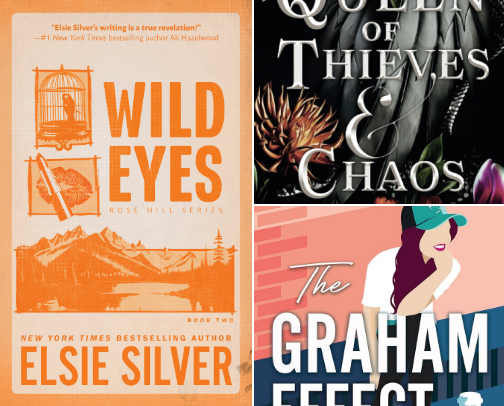 books I've read in 2025 cover photo collage