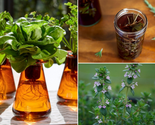 My Little Garden cover photo collage