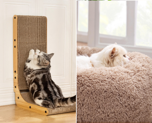 Must-Haves For Cats 🐈 cover photo collage