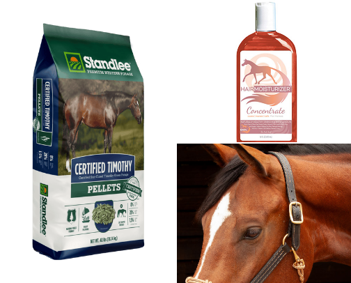 Horse Essentials cover photo collage