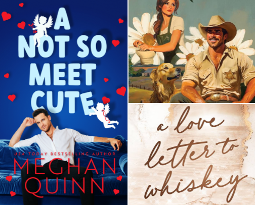 contemporary romance books cover photo collage