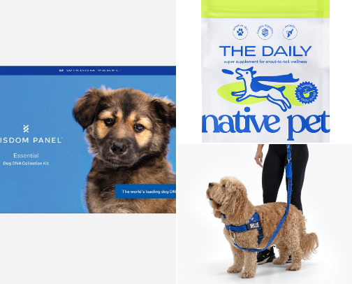 Things I Spoil My 🐶 With cover photo collage