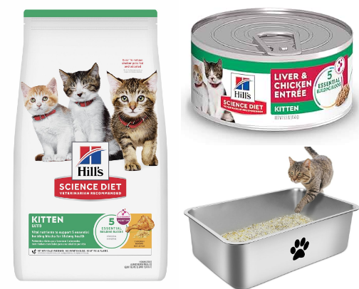 Cat Mom Essentials! cover photo collage