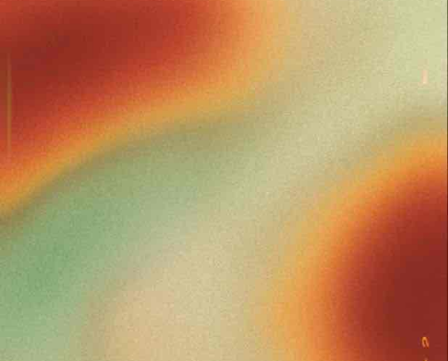 My Boho Home Must-Haves cover photo collage