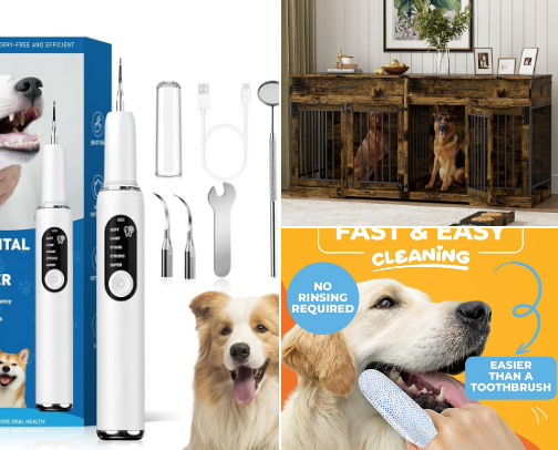 Pet Care cover photo collage