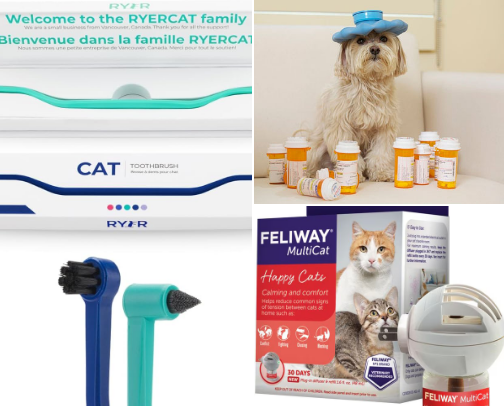 Cat Health cover photo collage