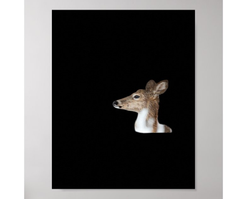 Oh Deer Minimal Modern Design cover photo collage