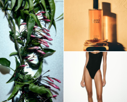 Viral Zara Staples & Scents cover photo collage