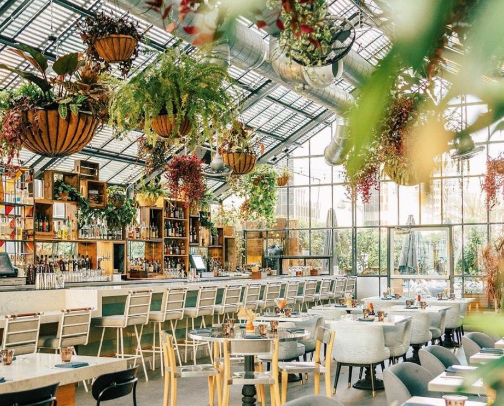 Foodie-Approved: My Must-Try Restaurants cover photo collage