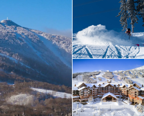 Ski Resorts with Childcare cover photo collage