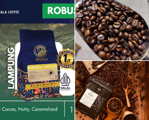 Popular Types of Indonesian Robusta Coffee cover photo collage