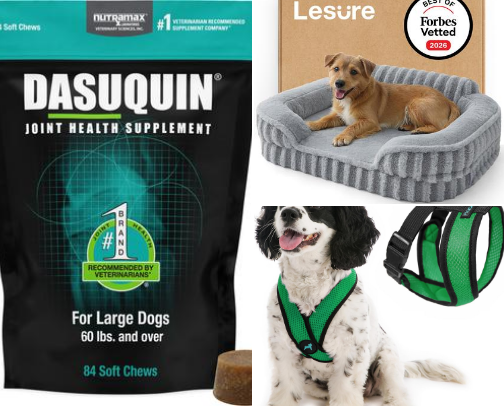 Pet Essentials cover photo collage
