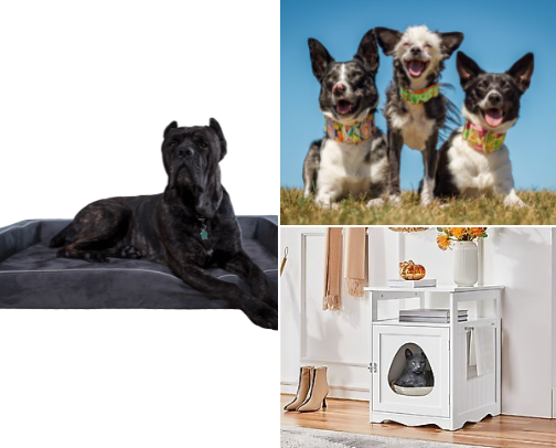 Pet Must Haves cover photo collage