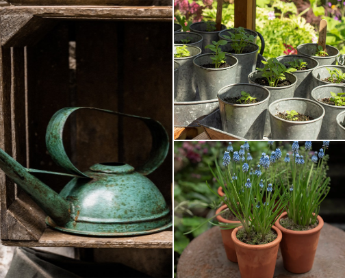 🌱Gardening Starter Kit cover photo collage