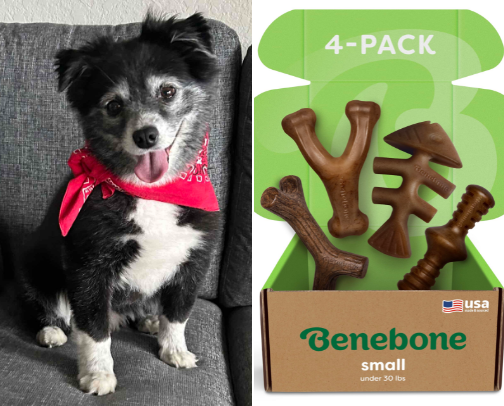 Best Dog Toys, Treats, and Essentials (Mini Aussie Approved!) cover photo collage