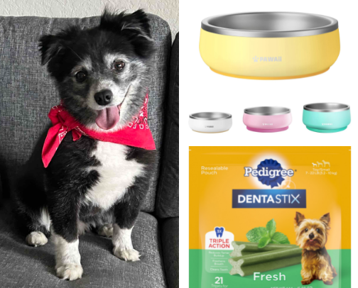 Best Dog Toys, Treats, and Essentials (Mini Aussie Approved!) cover photo collage