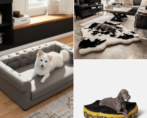 Paw-fection Essentials cover photo collage