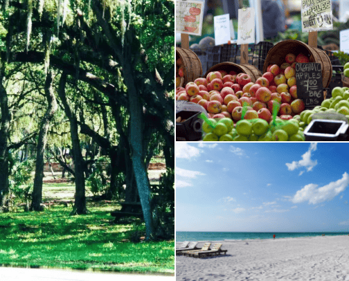 My new list cover photo collage