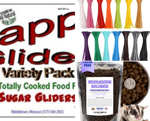 Sugar Gliders cover photo collage