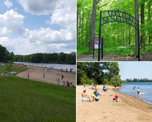 Zoey’s Dog-Friendly Winter Activities in Michigan cover photo collage