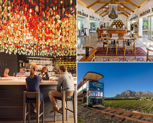 Cape Town Wine Farms 🍷 cover photo collage