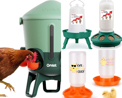 Chicken Raising Essentials cover photo collage
