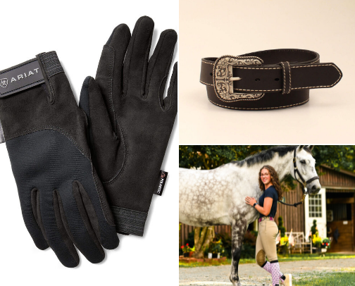 Horse riding accessories cover photo collage