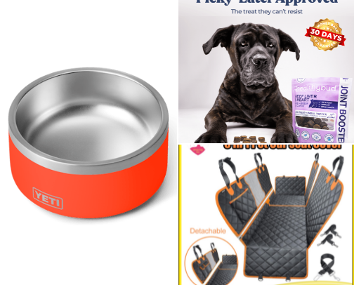 For the love of fur, we’ve got you covered!🐾 cover photo collage