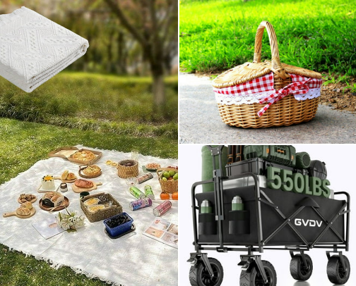 The Picnic Pro: 20 Essentials for a Perfect Park Day cover photo collage