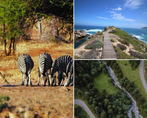 Places I will tell you to visit cover photo collage