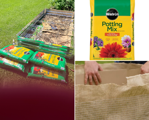 My new garden cover photo collage