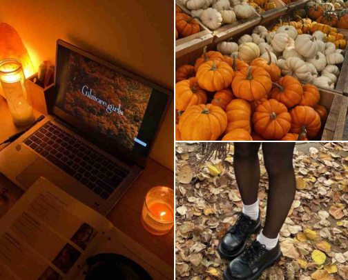 the absolute best fall finds ࣪ ִֶָ☾. cover photo collage