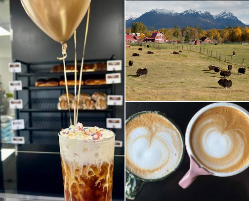 Favorite Places Around Palmer, Alaska cover photo collage