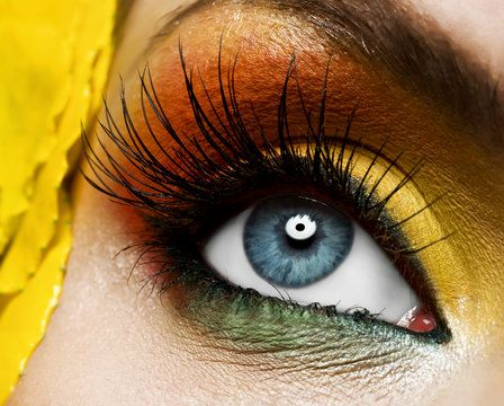 The Eyedeal List cover photo collage