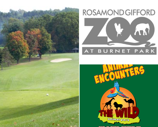 Things to do in Syracuse, NY cover photo collage