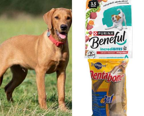 Pet Must Haves cover photo collage