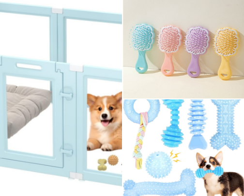 🐶 cover photo collage
